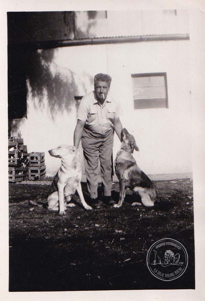 BPMM-AF-DD-FF-SCH-27