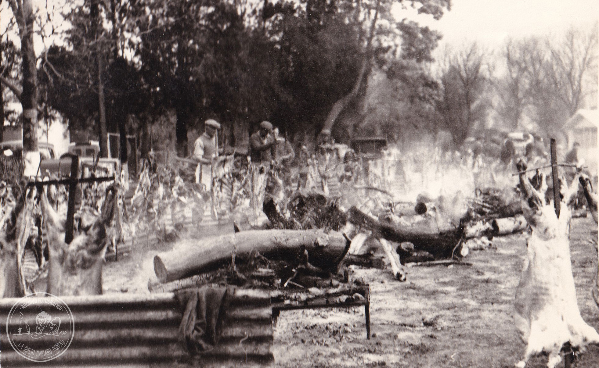 BPMM-AF-DD-FF-SCH-31