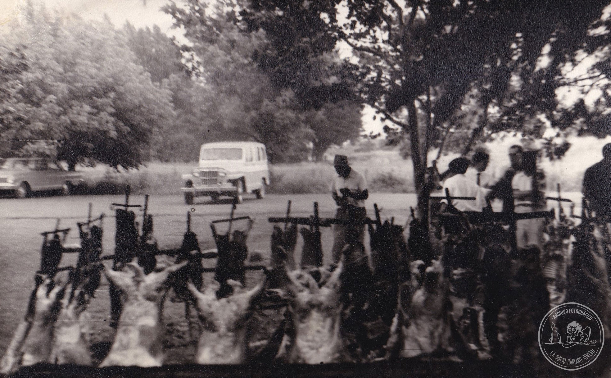 BPMM-AF-DD-FF-SCH-50