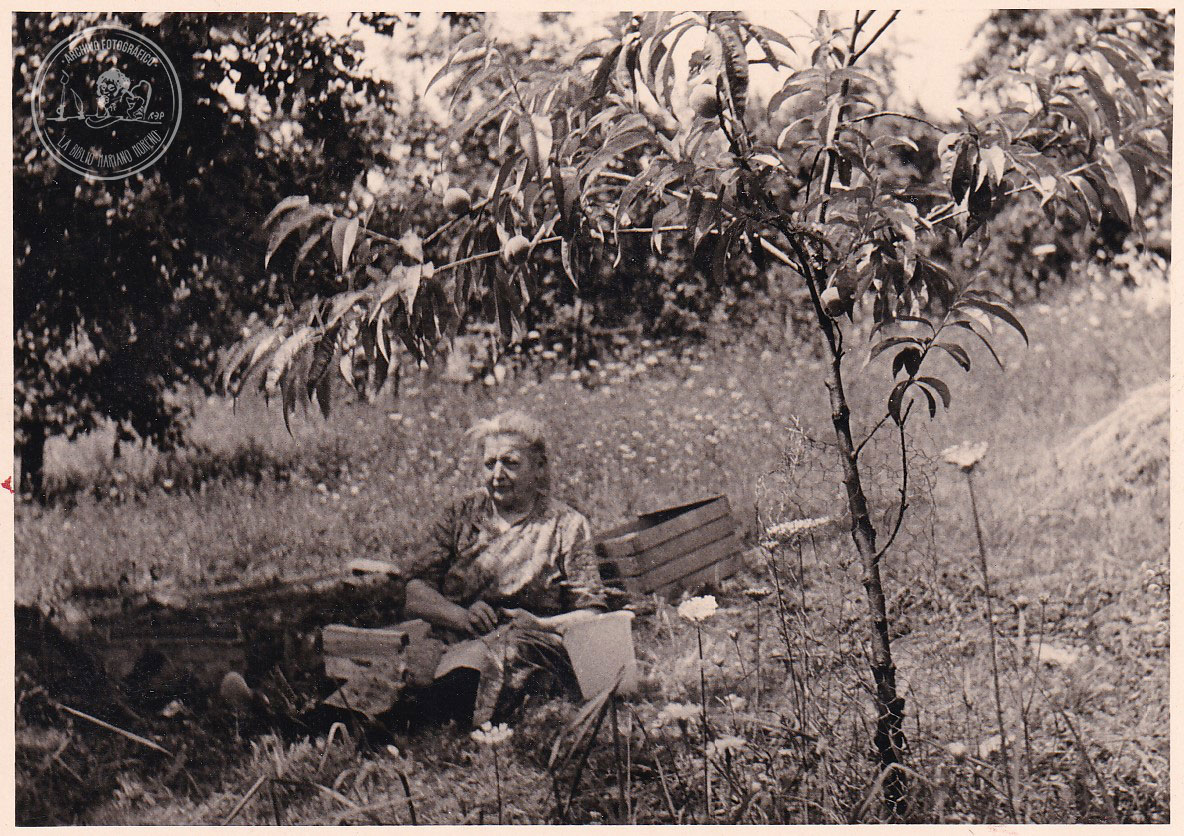 BPMM-AF-DD-FF-SCH-86